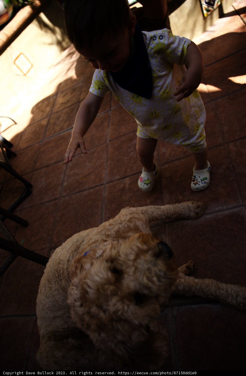 Wesley's First Birthday: A Playful Moment