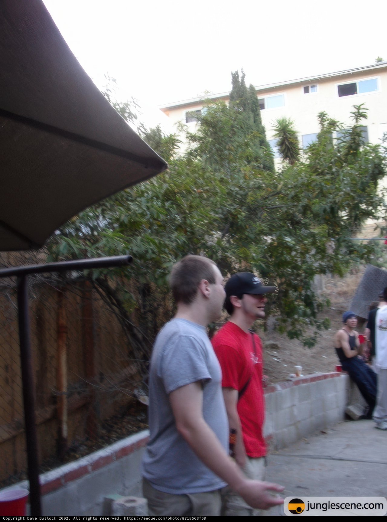 Two Men Enjoying a BBQ in the Backyard
