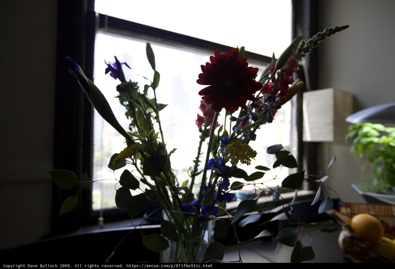 Floral Still Life