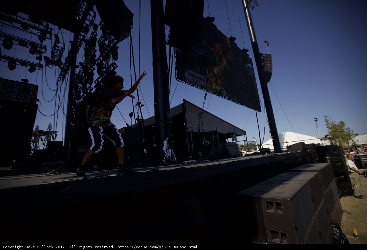 Santigold's Crowd-Wowing Moment