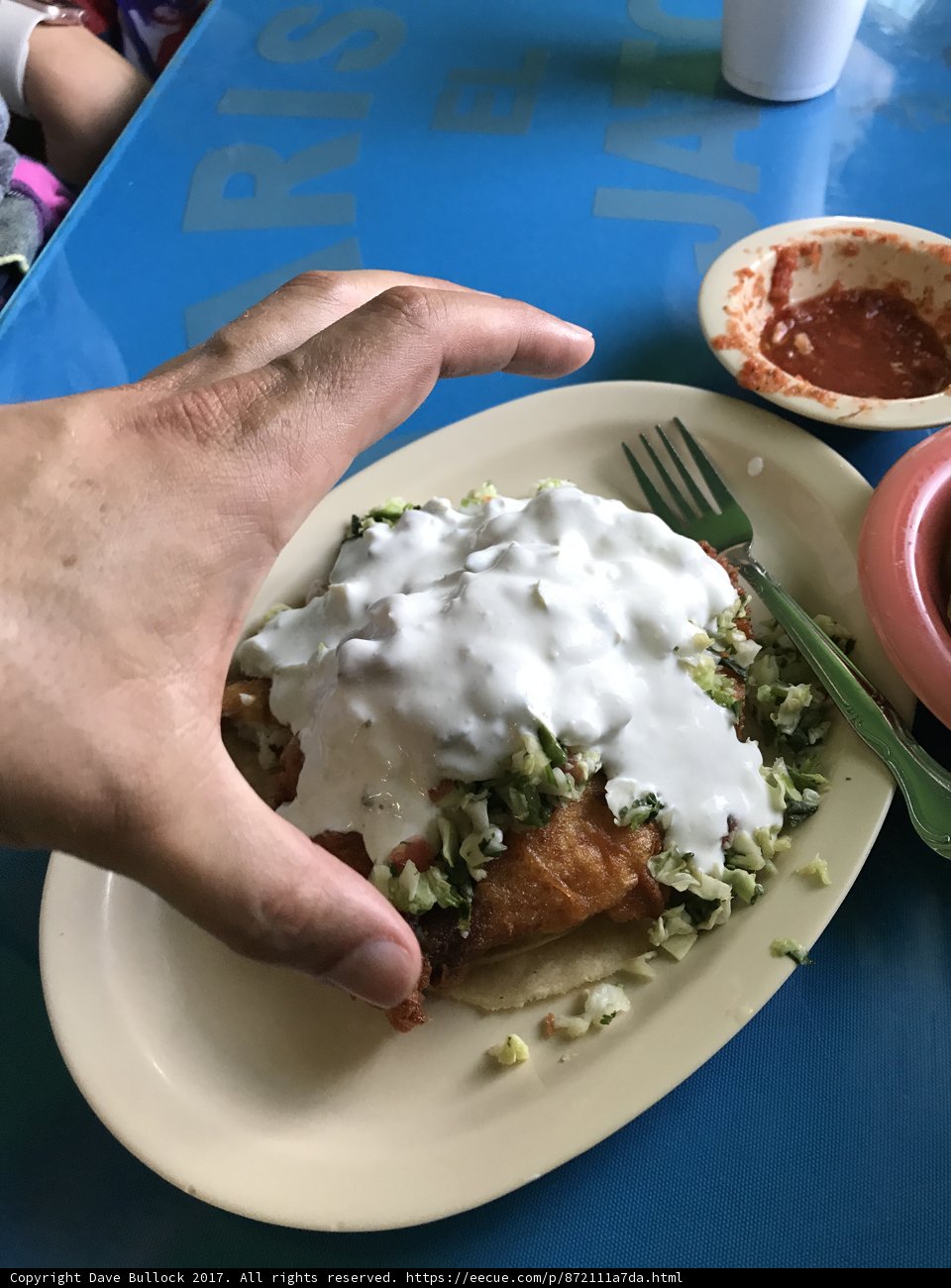 Enjoying a Delicious Meal