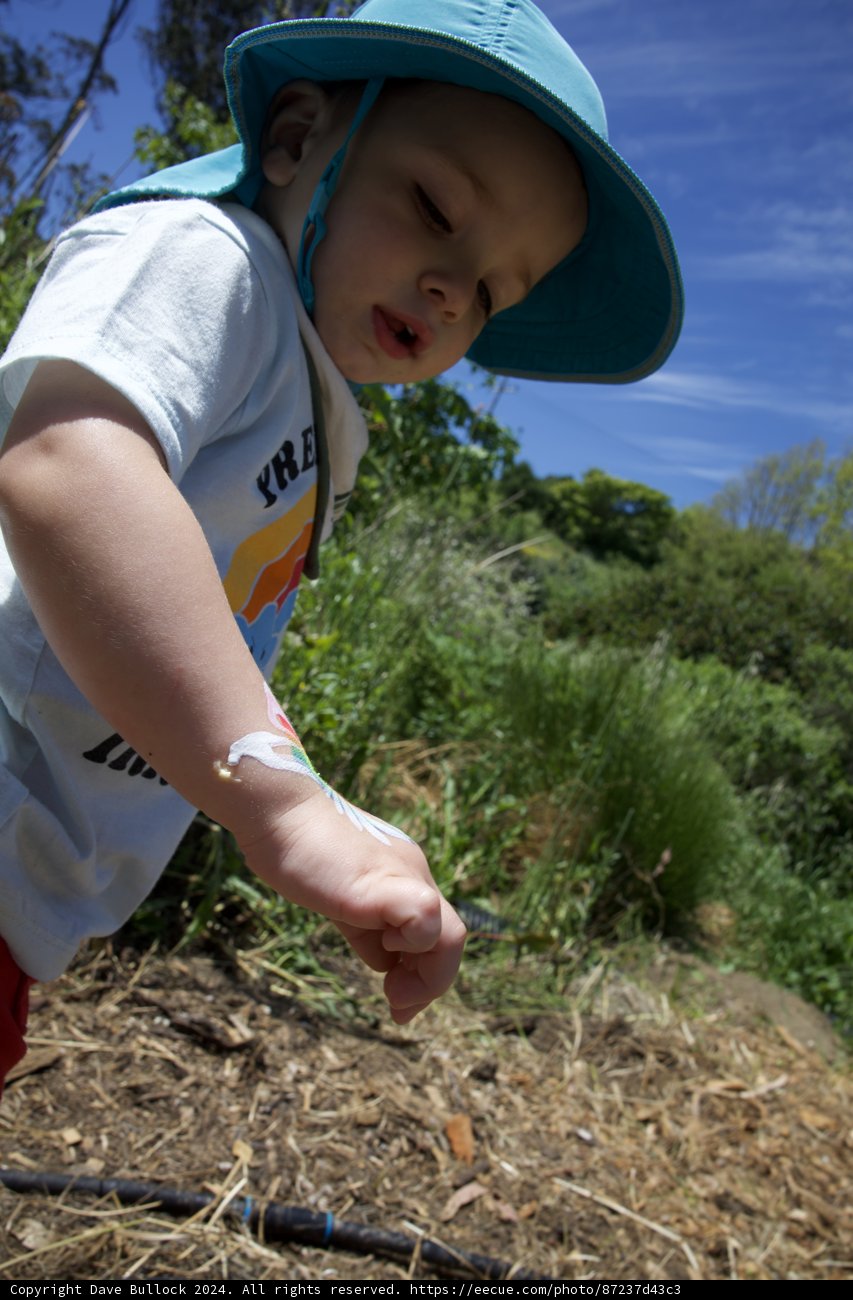 Exploring Nature: Little Explorer at Alemany Farm
