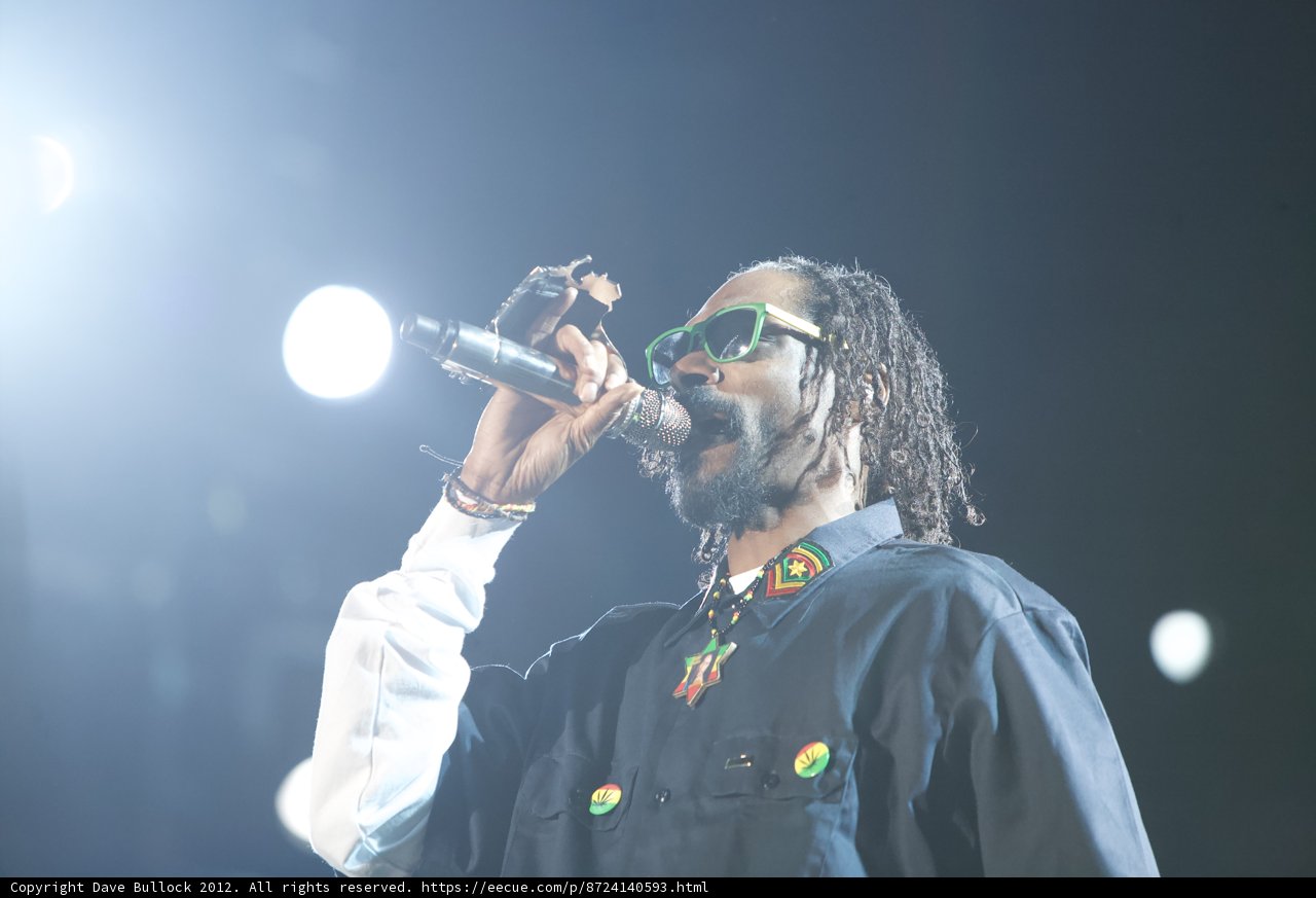 Snoop Dogg's Solo Performance at the 2014 Grammy Awards