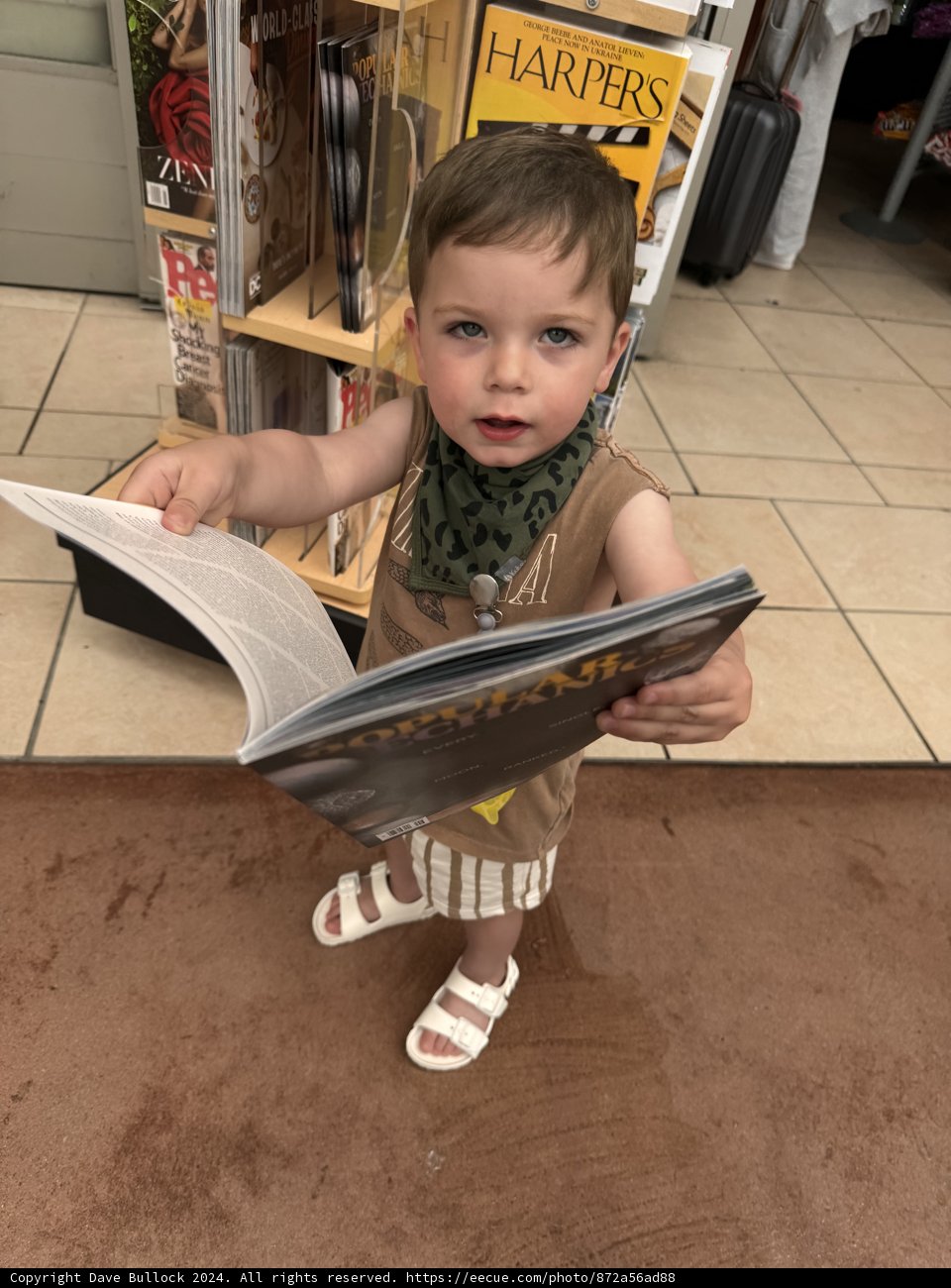 Little Learner at the Magazine Stand