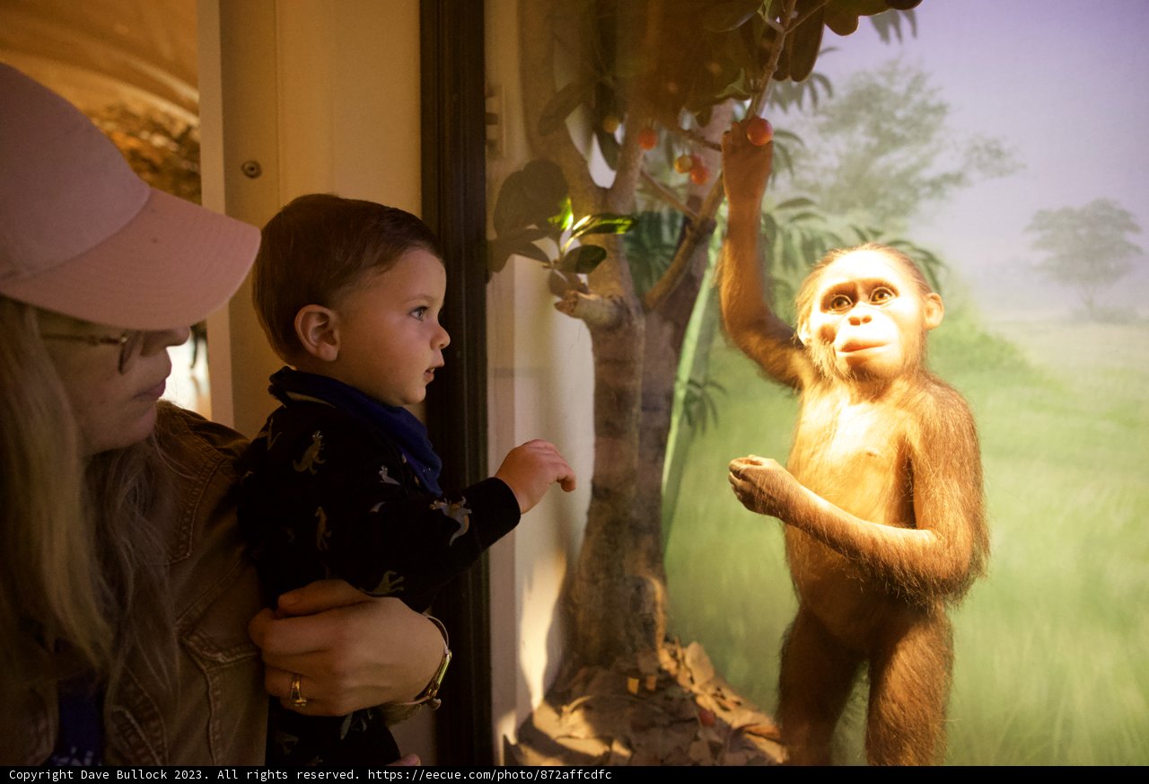 Captivating Curiosities at Golden Gate Park