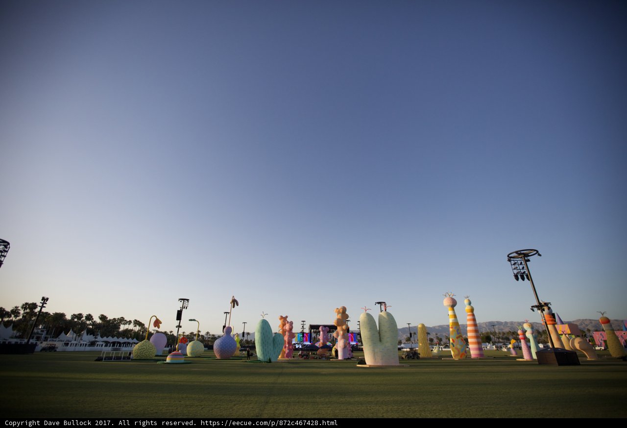 Balloon Field Fun