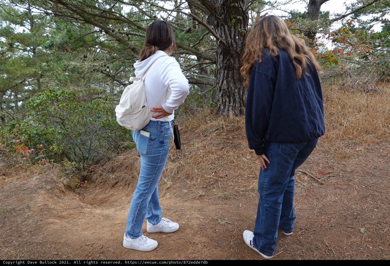 Two Women Exploring Nature Trail Together
