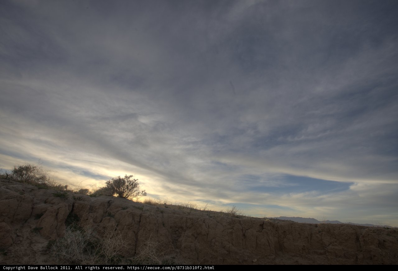 The Lone Tree of Anza-Borrego