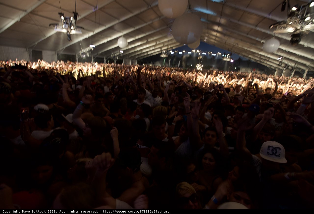 Euphoric Crowd at Coachella 2009