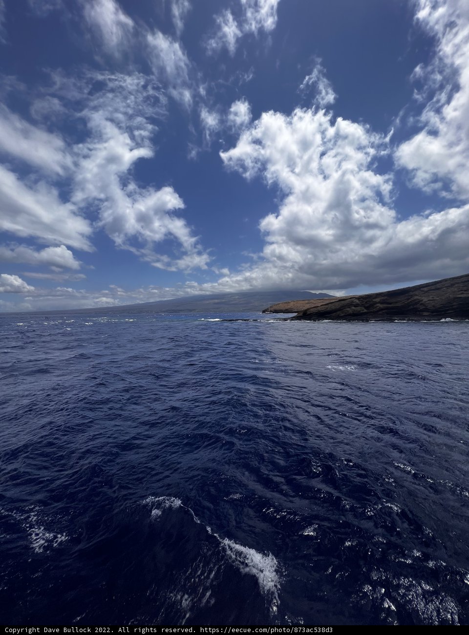 Above the Sea and Sky
