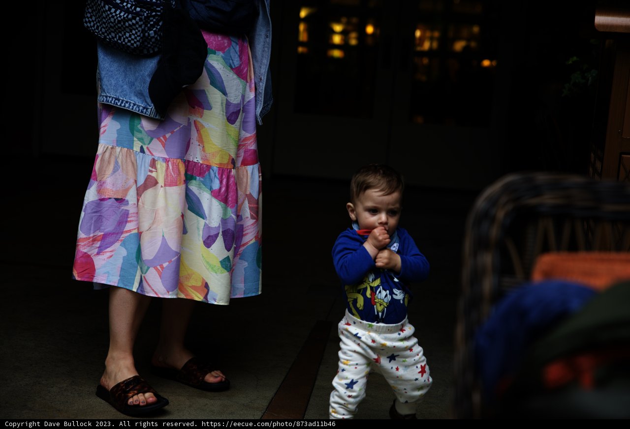 A Joyful Stroll at Disneyland