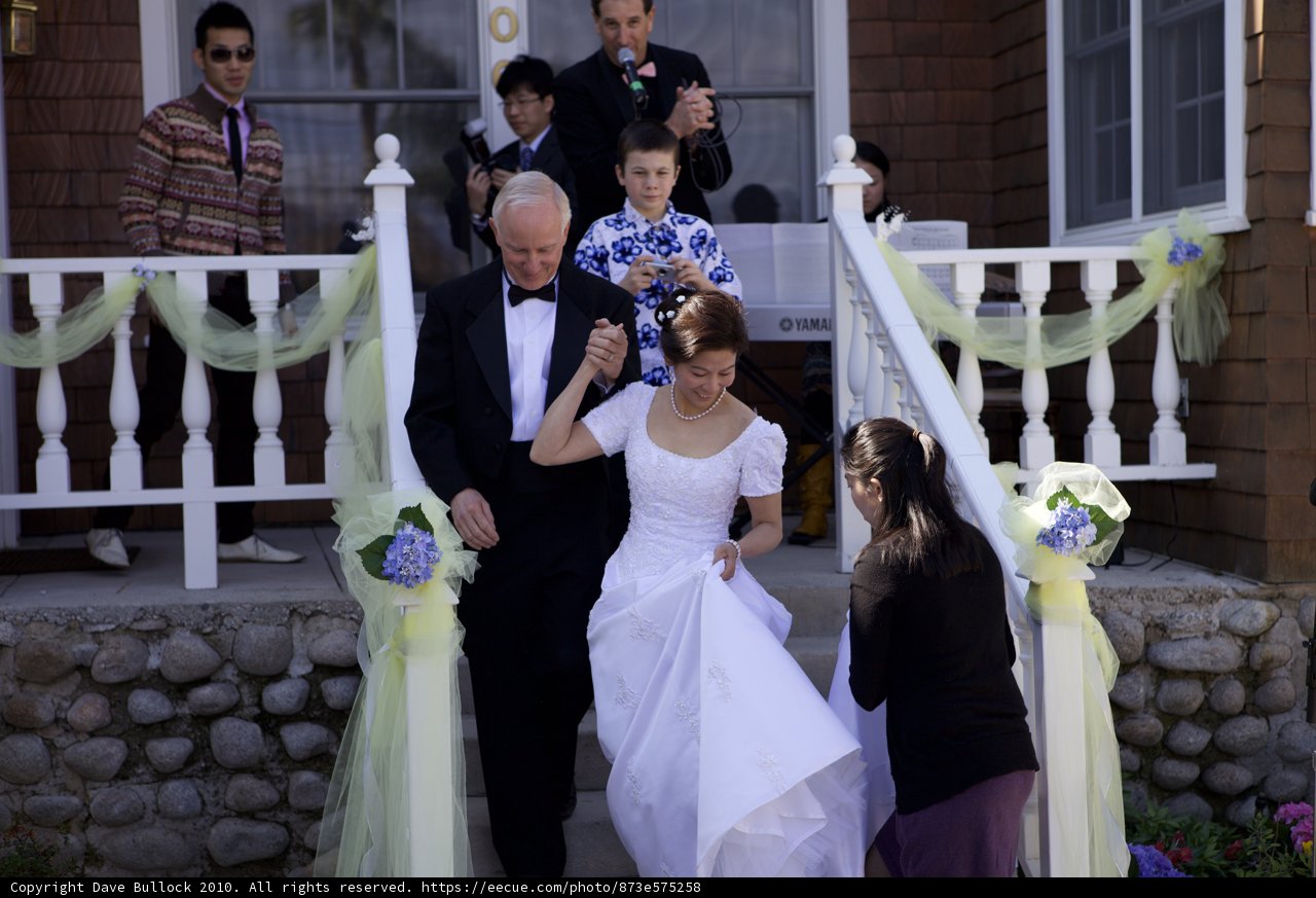 The Newlyweds' Grand Descent