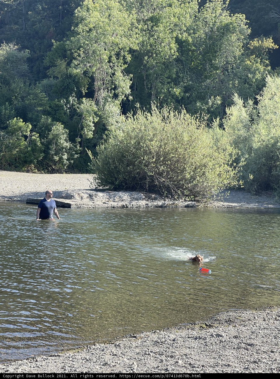 Man and Dog Enjoying a Swim at Monte Rio Beach