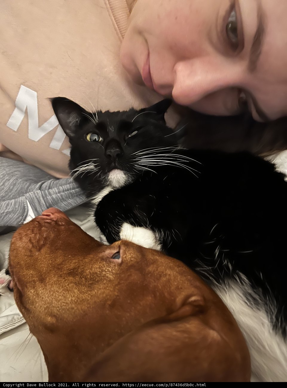 Furry Bedmates