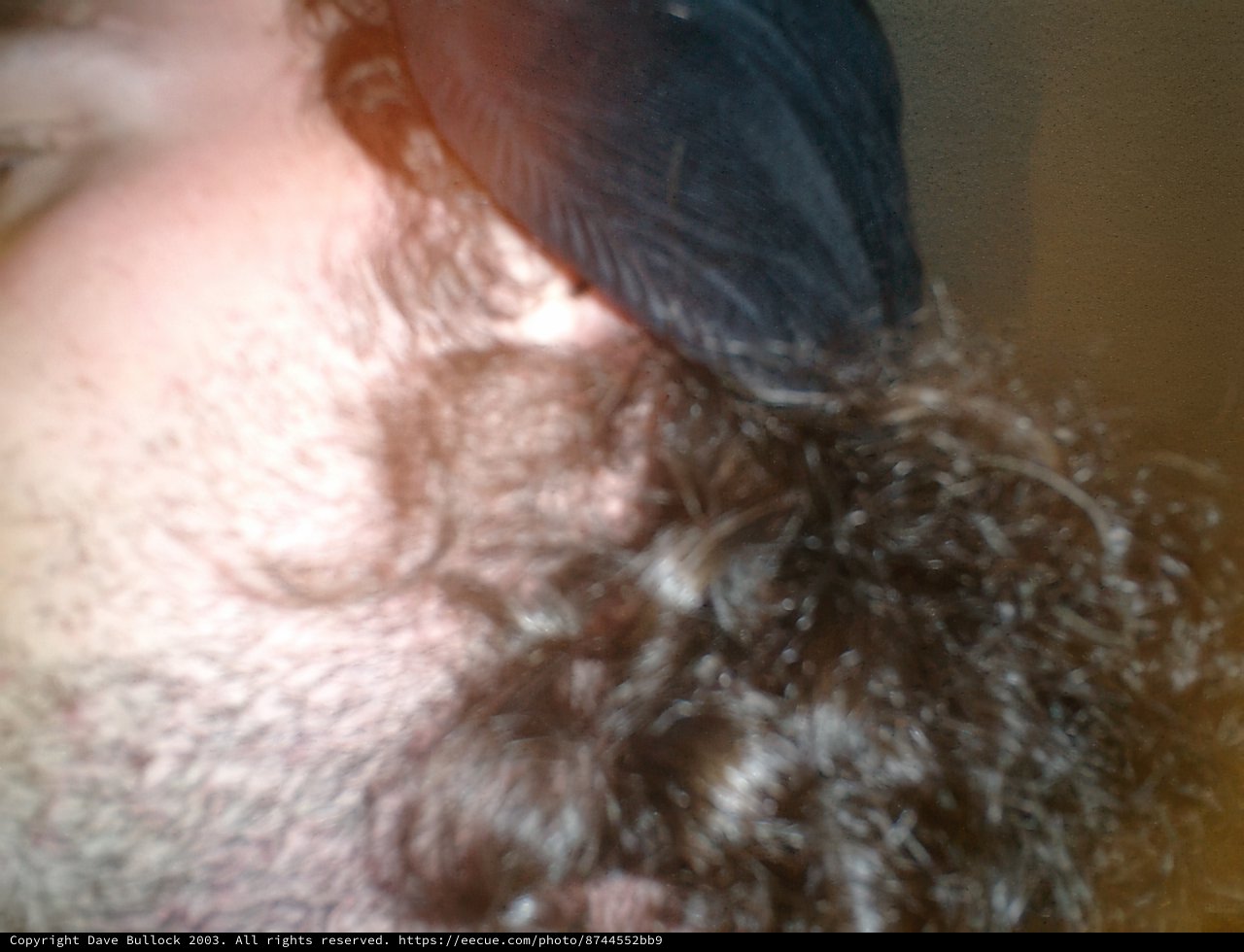 The Bearded Man with a Hat