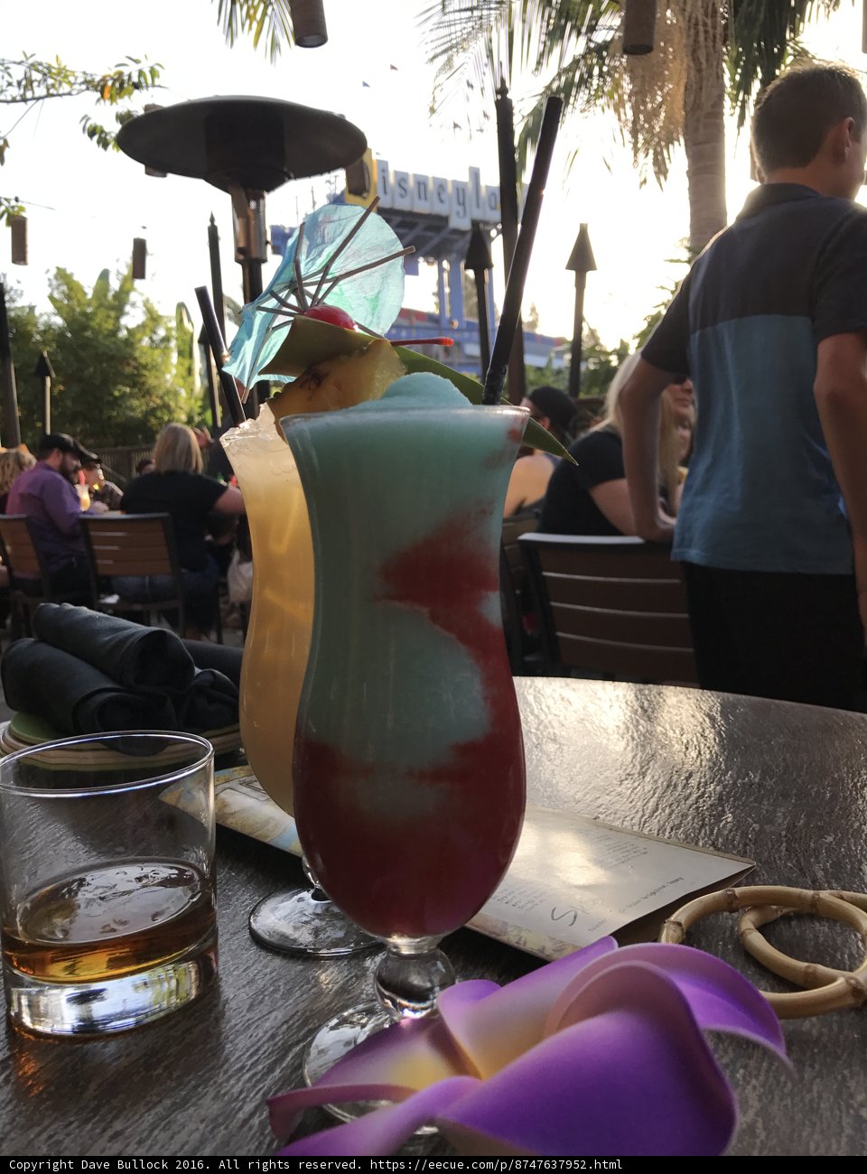 A Refreshing Break at the Disneyland Hotel