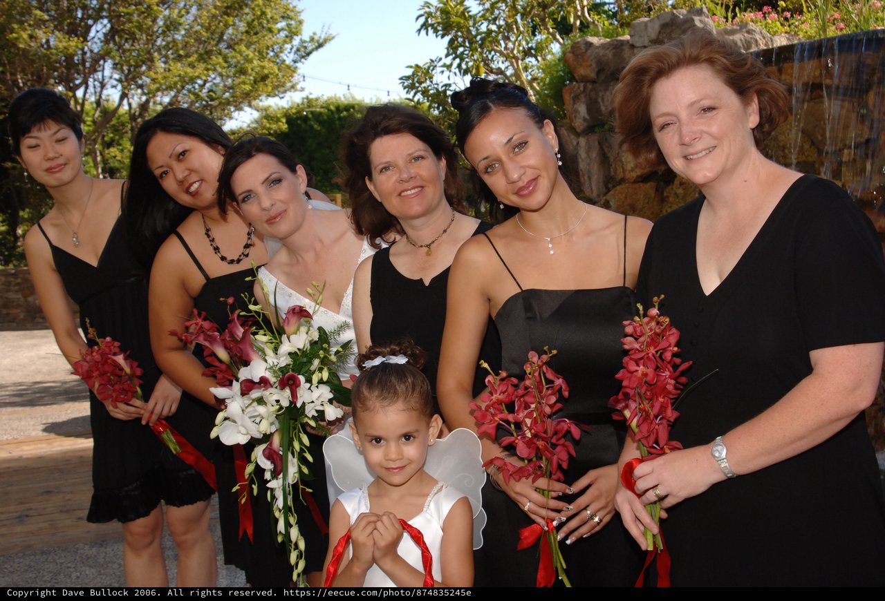 Bridal Party Poses Together at Outdoor Wedding Venue