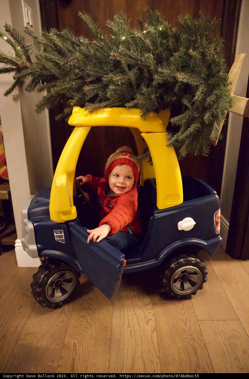 Wesley's First Christmas Tree Adventure