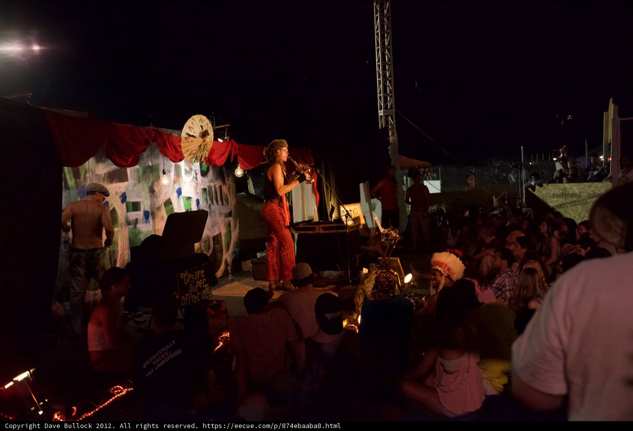 Concert Performance under the Night Sky