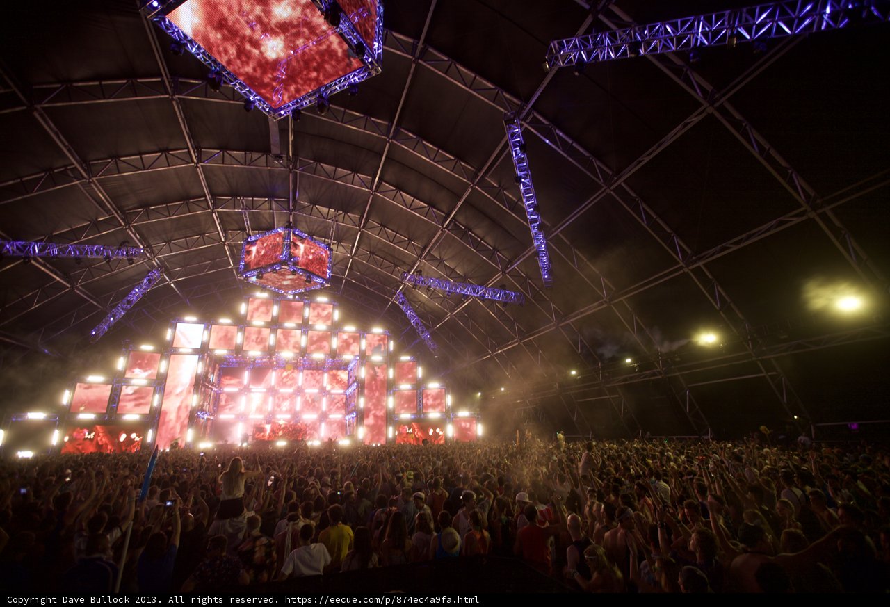 Coachella Crowd