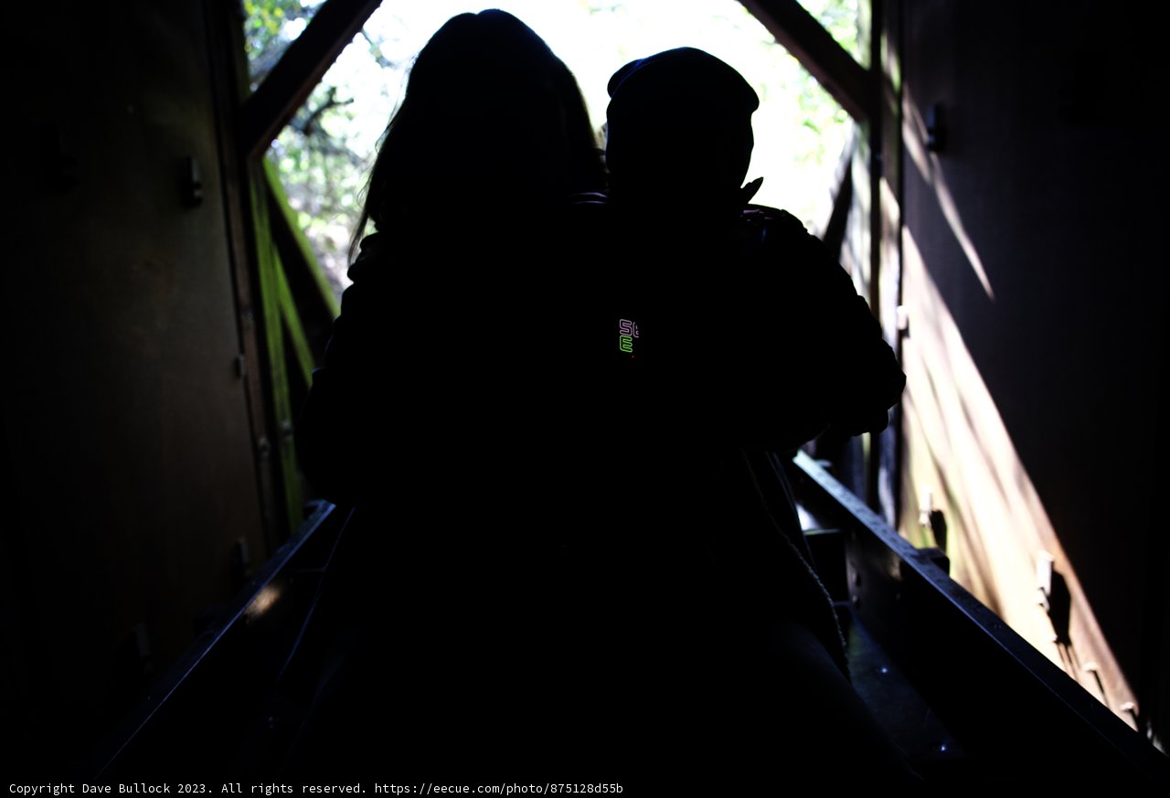 Embracing Shadows in Tilden Park