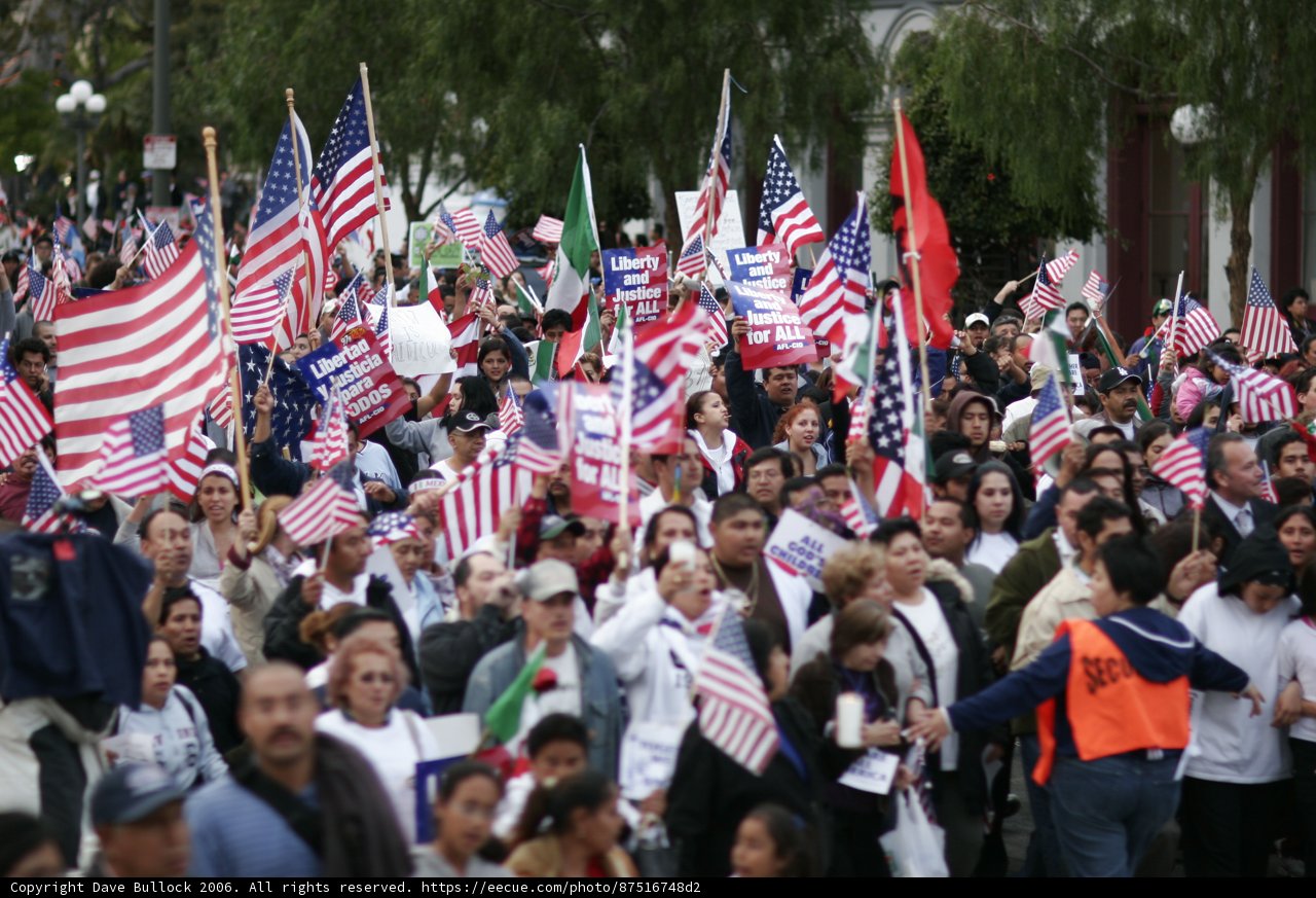 Patriotic Crowd