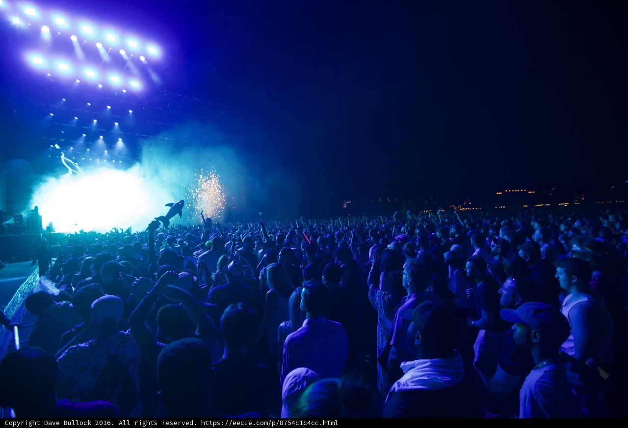 Electric Blue Concert Crowd
