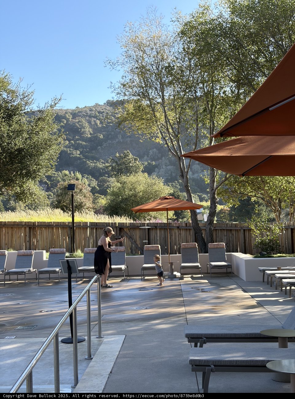 Serenity in Carmel
