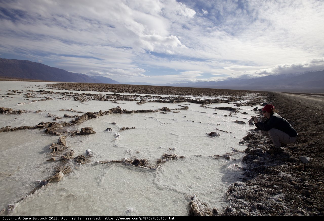 Solitude in the Salty Plains