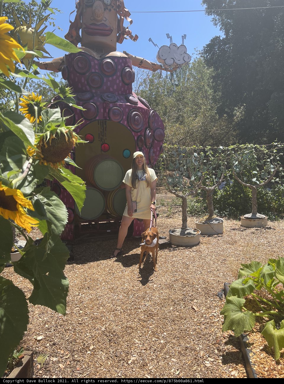 Garden Time with My Furry Best Friend
