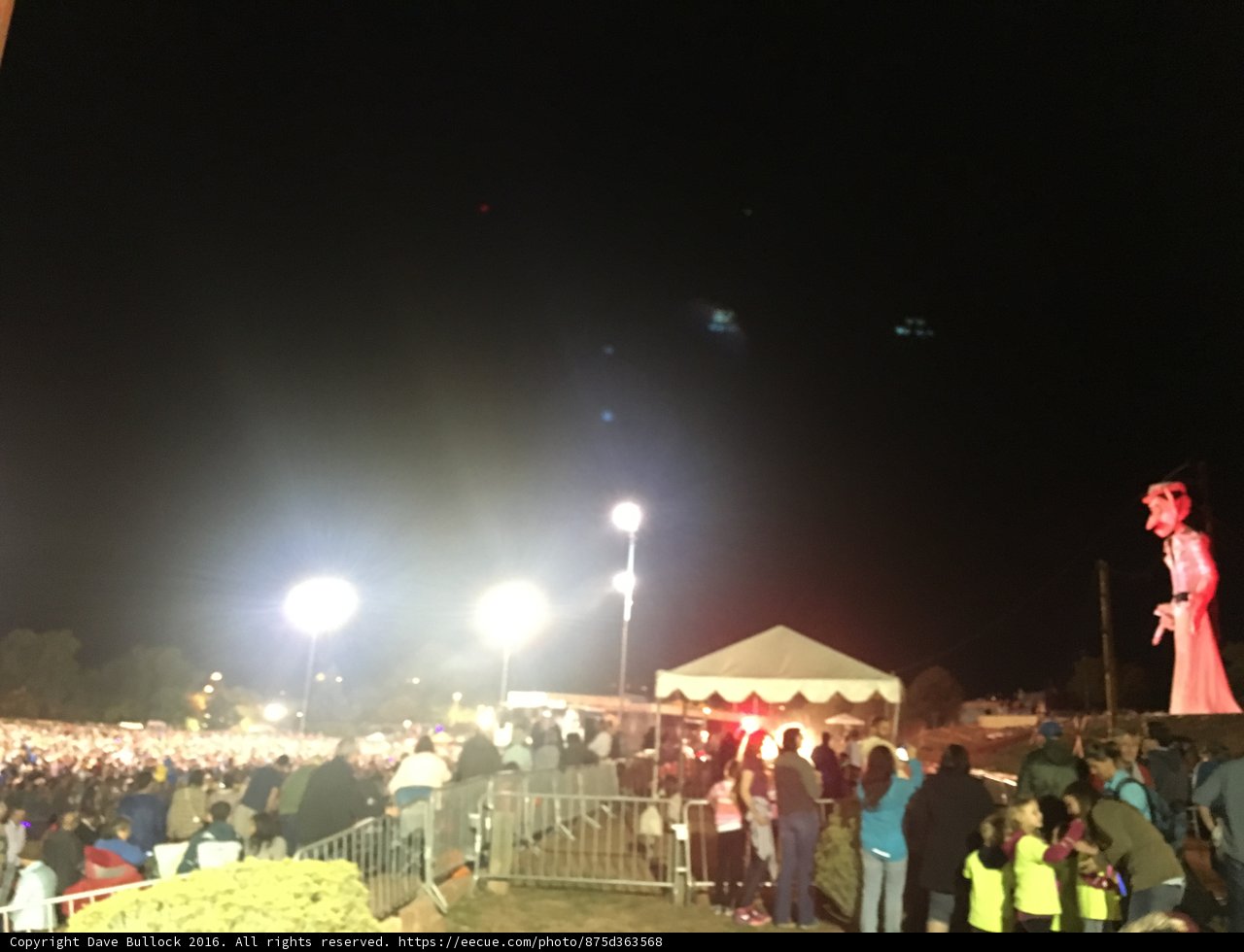 Nighttime Crowd at the Statue