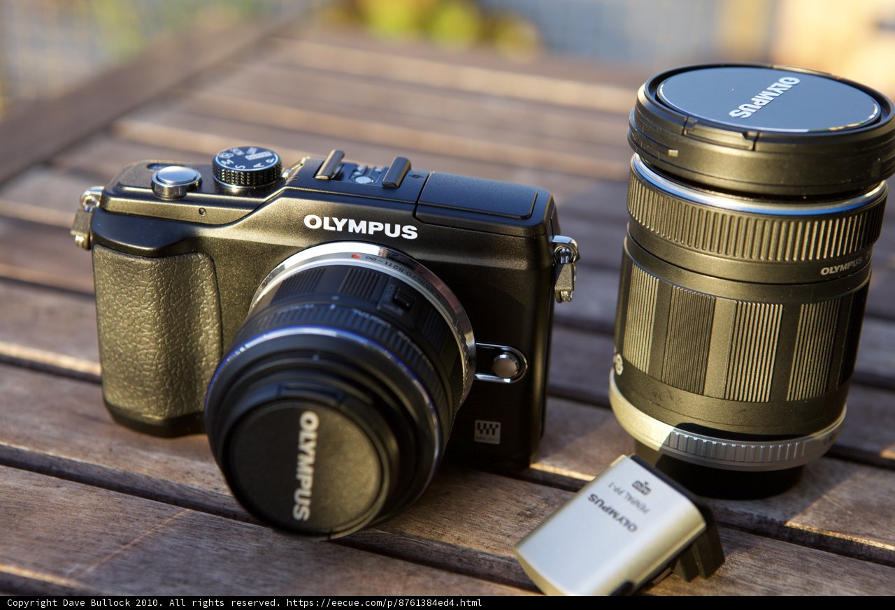 Double the Fun: Capturing Life with Two Olympus PEN E-PL8 Cameras