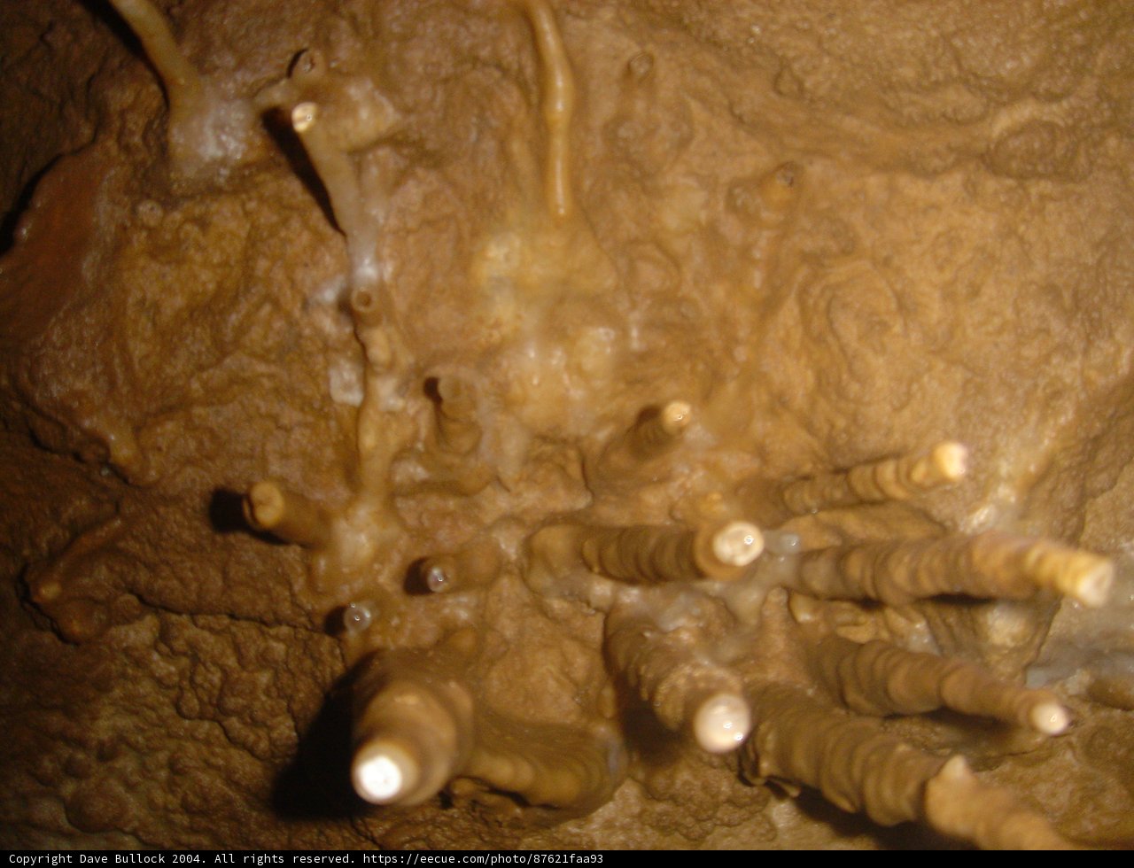 Stick-Studded Cave