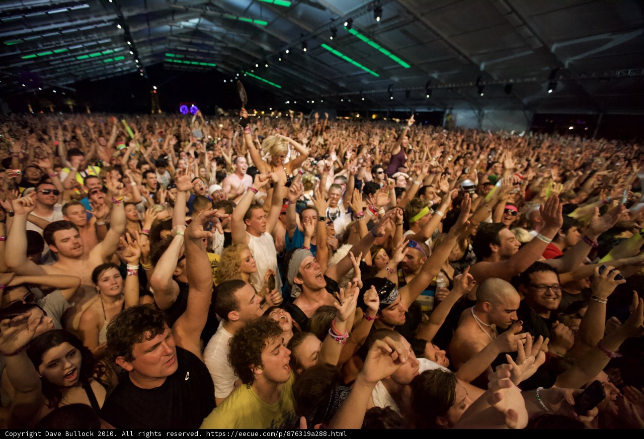 Electrifying Crowd at Coachella 2010
