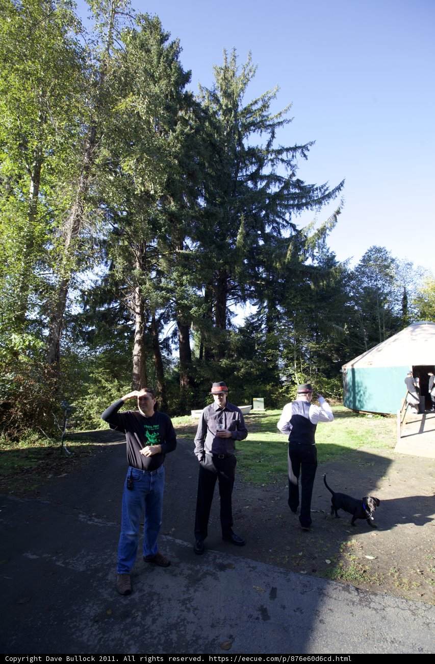 Three Men and a Dog in a Sunny Parking Lot