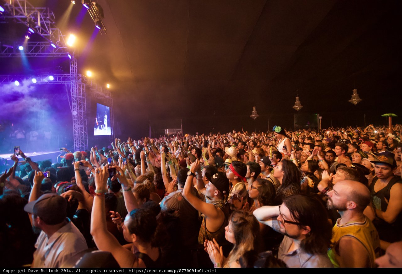 Coachella Crowd Goes Wild