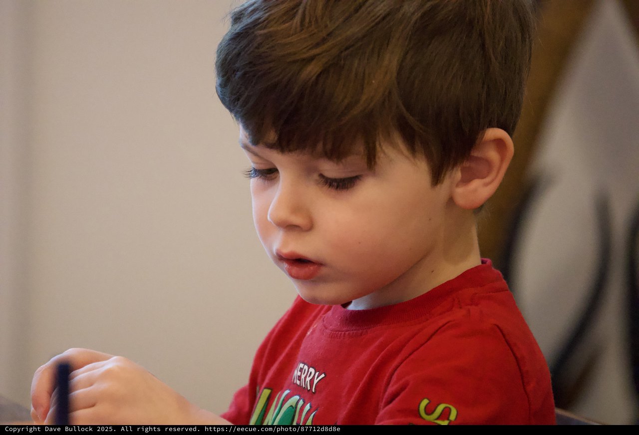 Young Boy Concentrating in Red Christmas Shirt