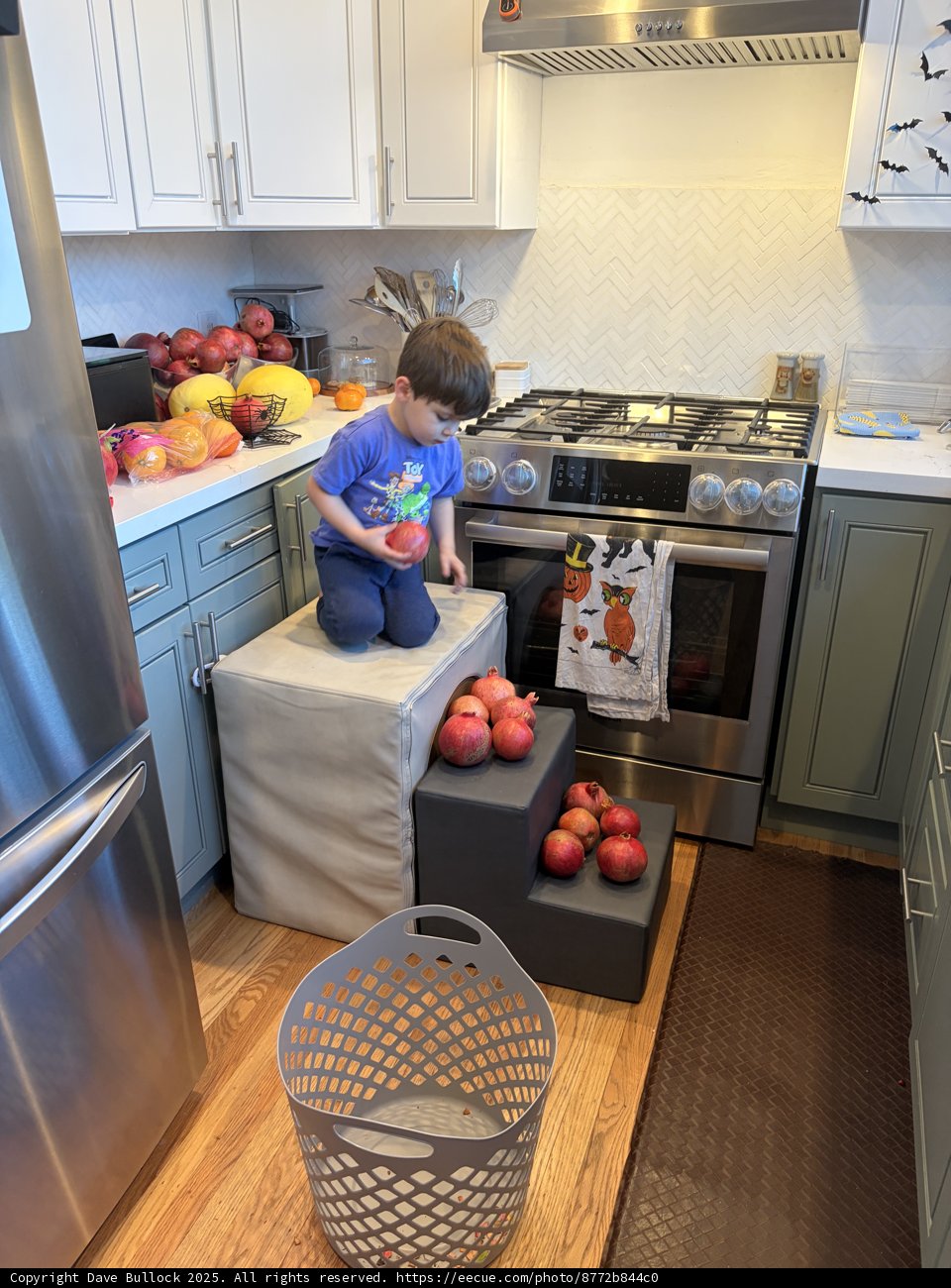 Little Chef's Adventure