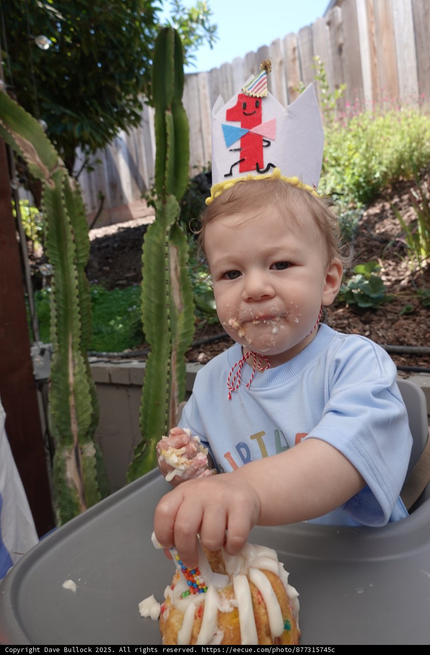 First Birthday Delight