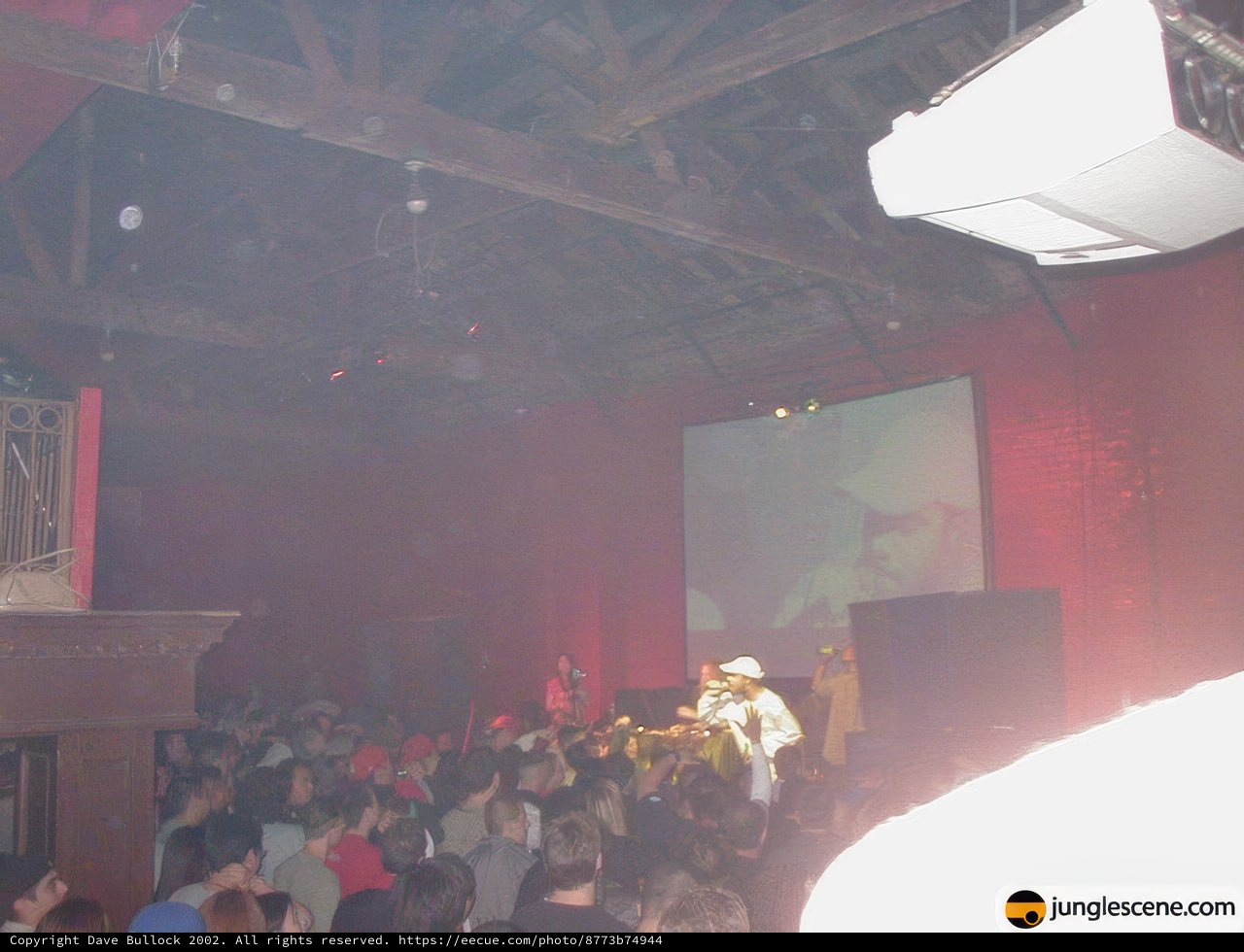 Night Club Extravaganza