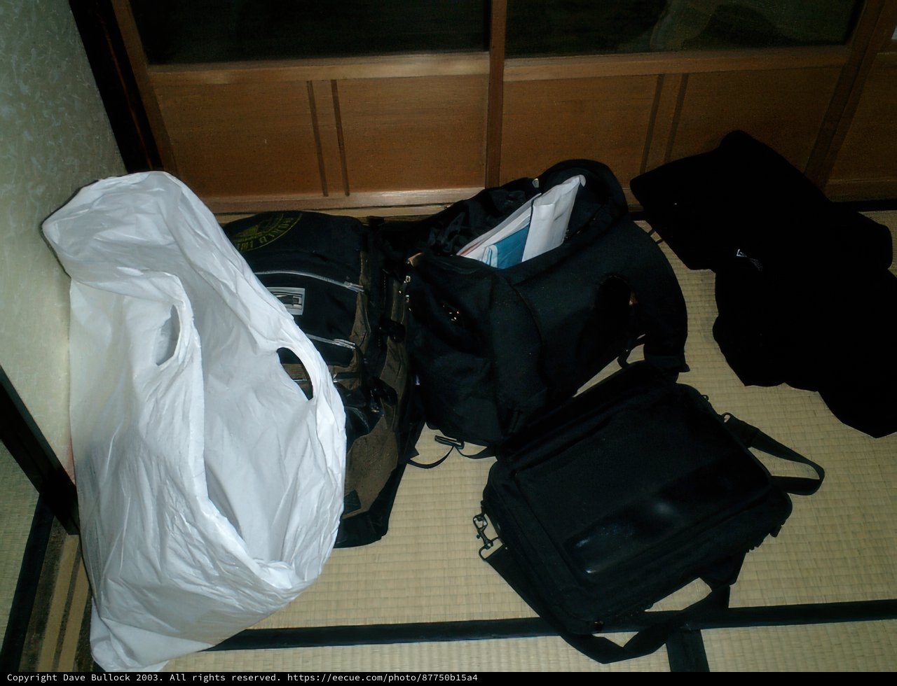 Baggage Overload