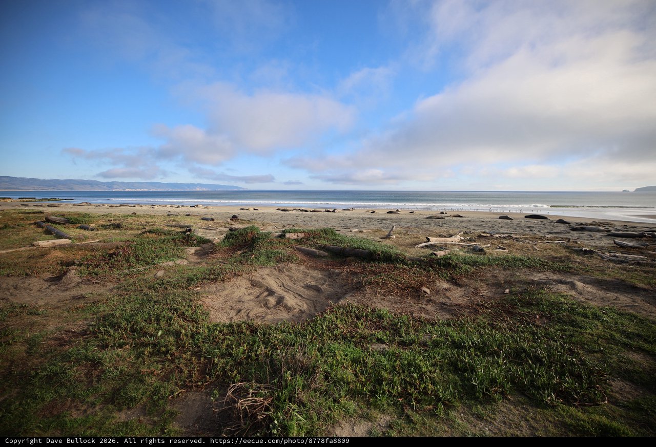 Coastal Dunes and Beach at Drakes Beach