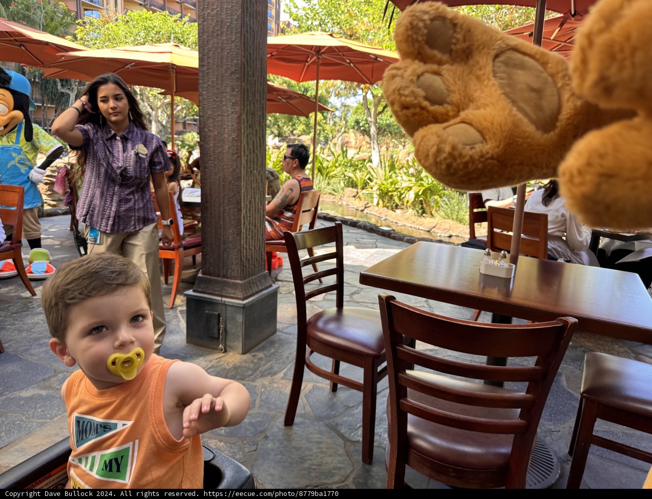 Curious Moments at Aulani