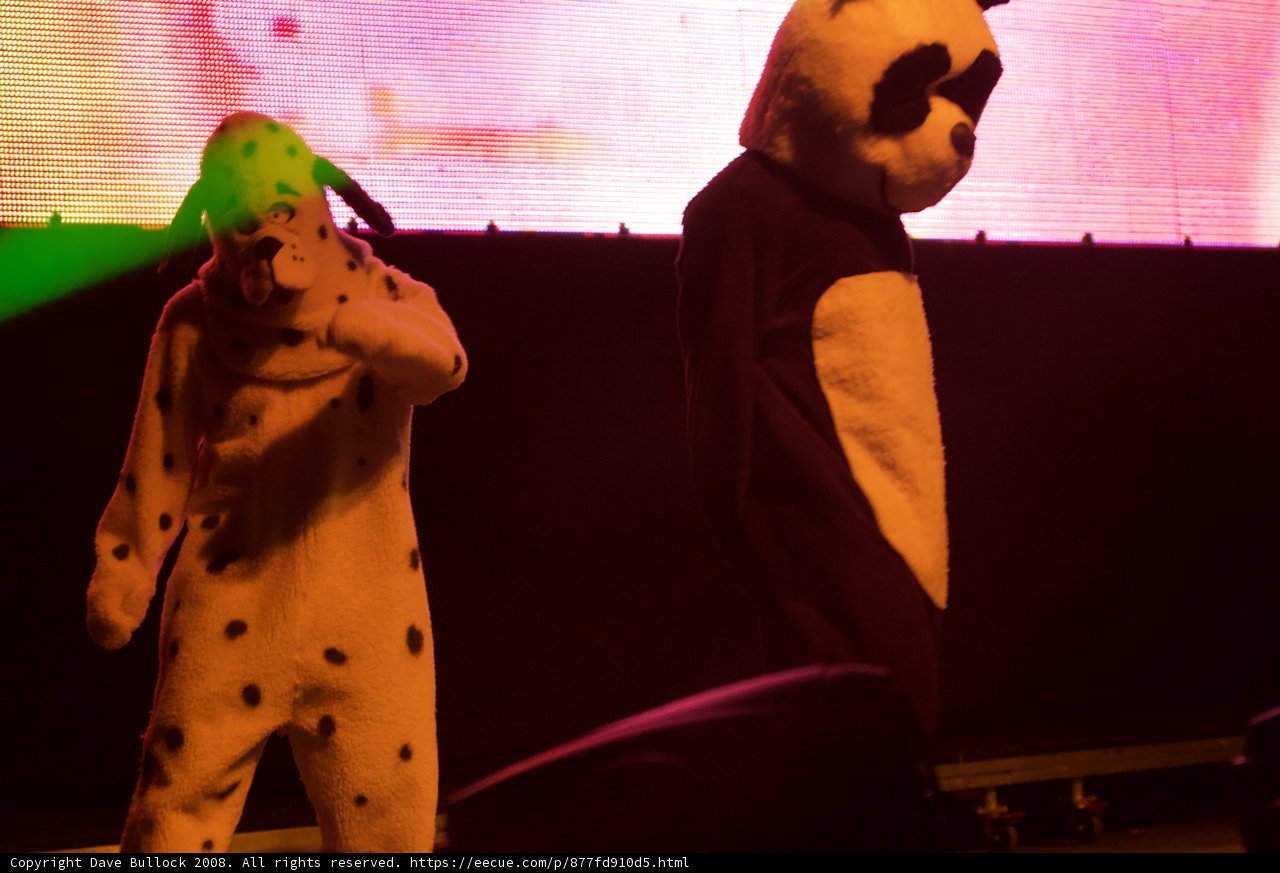 Panda and Dog's Coachella Adventure