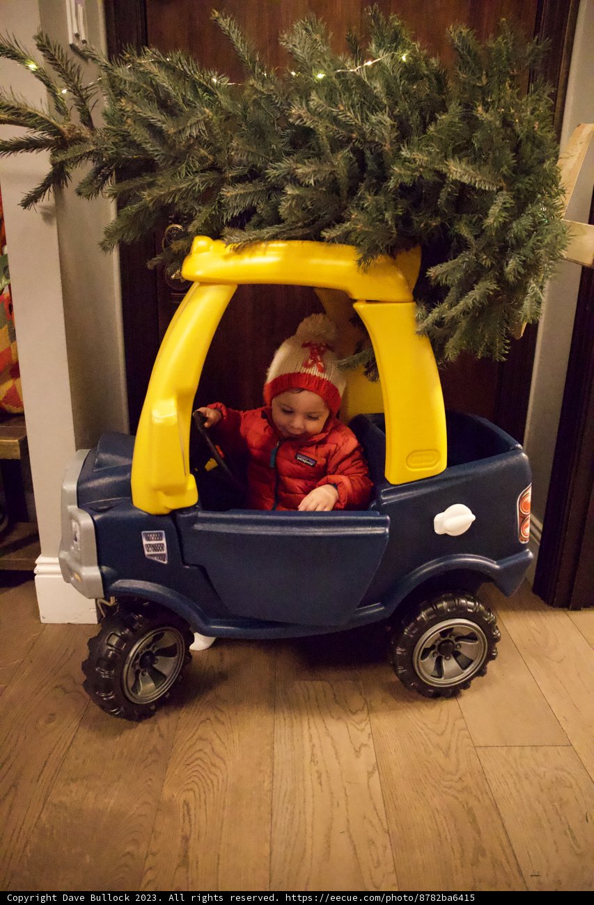 Wesley's First Tree-Picking Adventure