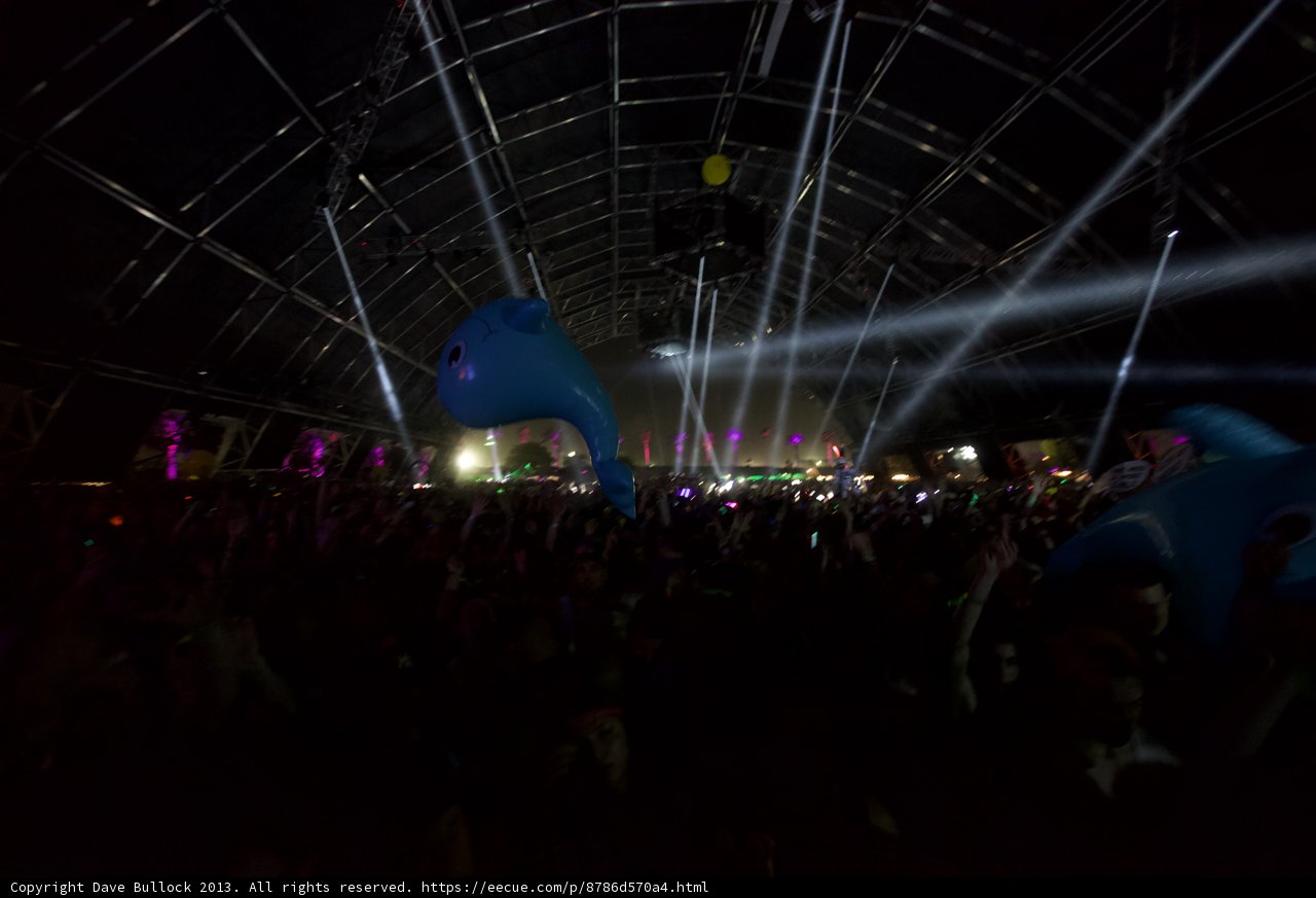 Electric Night at Coachella