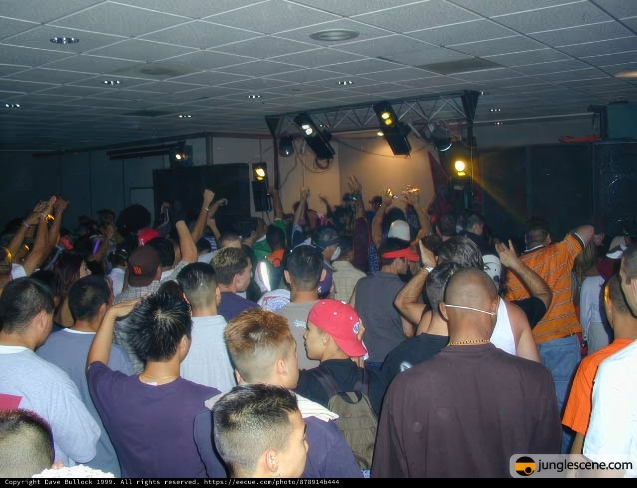 Nightclub Crowd Goes Wild