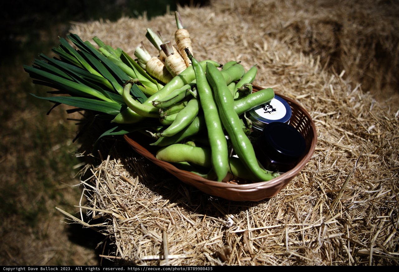 Bountiful Harvest from Regenerative Gardening