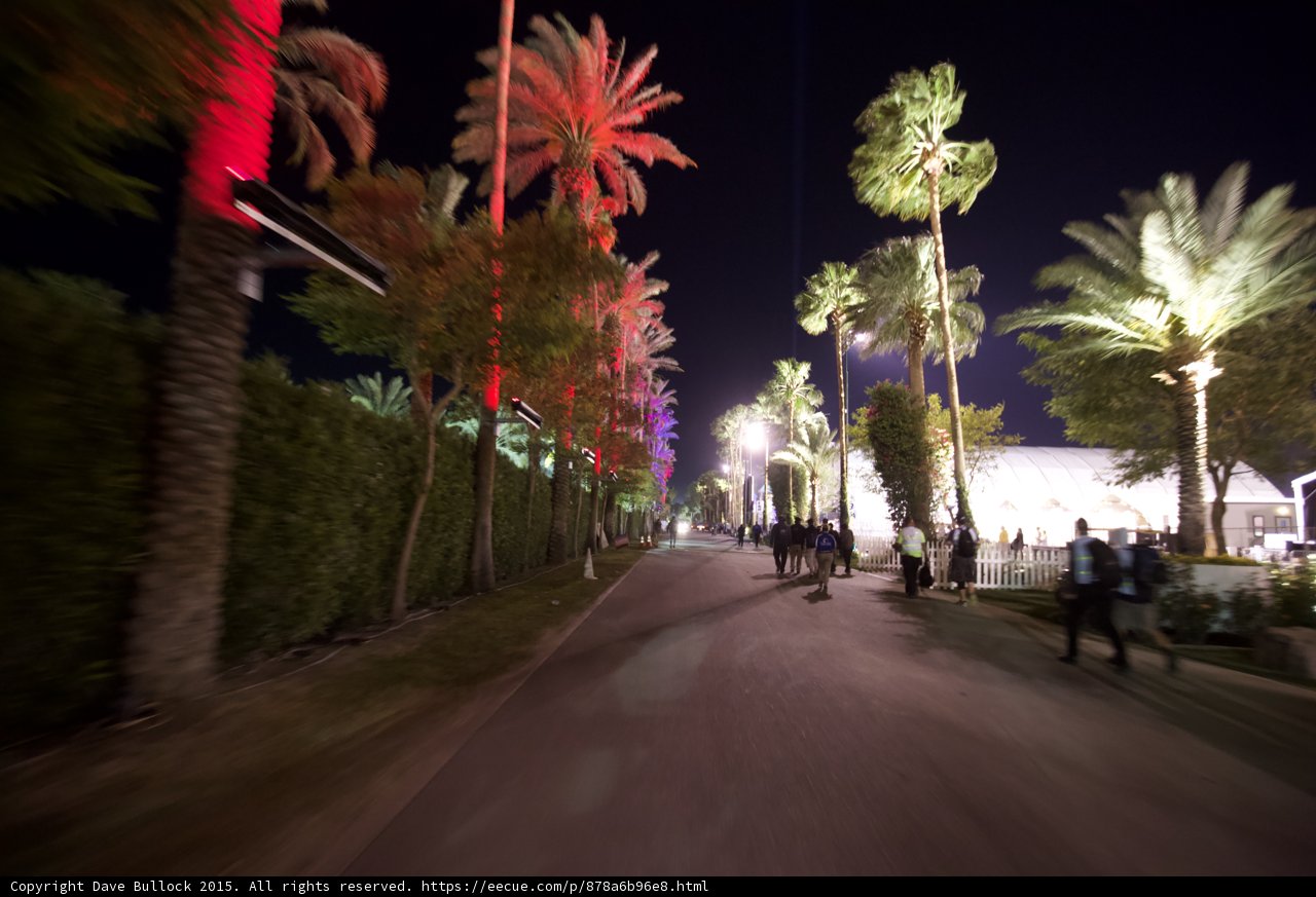 Red and Green Palm Path