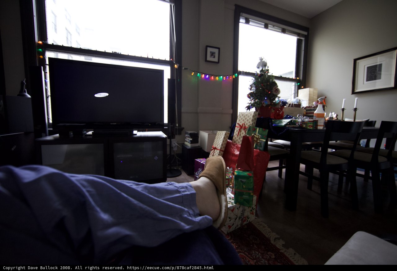 Christmas Morning in the Living Room